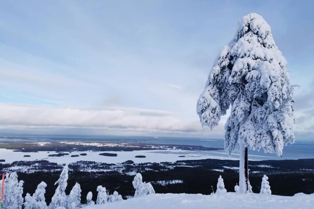 Idyllisk nybyggd stuga på Sollerön. Solleron Exteriör bild